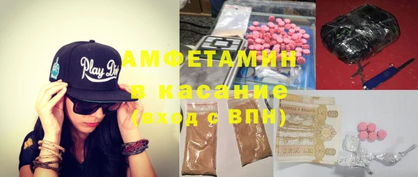 ГАЛЛЮЦИНОГЕННЫЕ ГРИБЫ Горняк