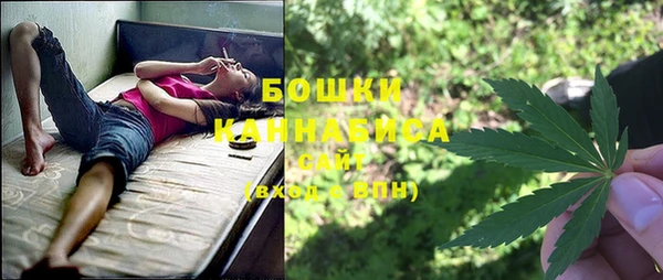 соль ск Гусь-Хрустальный
