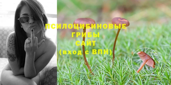 ГАЛЛЮЦИНОГЕННЫЕ ГРИБЫ Горняк